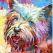 Maltese Terrier